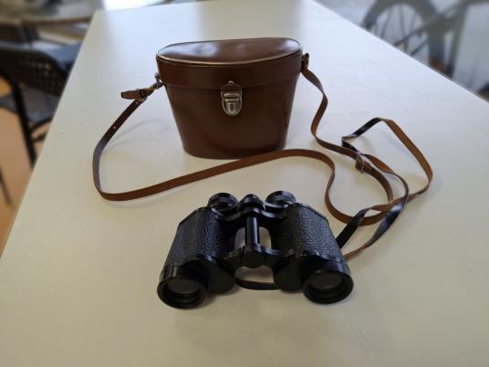 Fernglas "Panorama Berlin" 