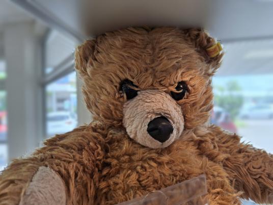 Steiff Teddybär 